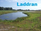 Laddran